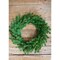24” Just Cut Spruce Wreath Fresh, Lush & Perfect for Holiday Decor